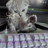 Astral_Raze