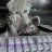 Astral_Raze